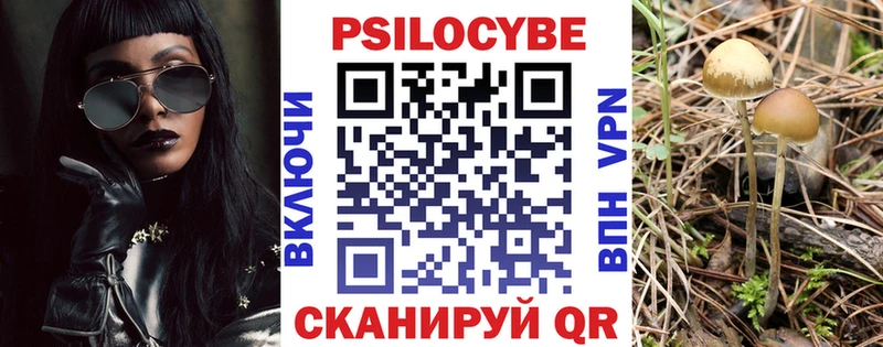 Галлюциногенные грибы Psilocybine cubensis Санкт-Петербург