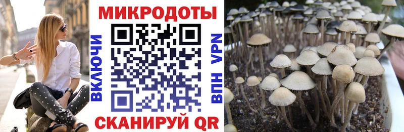 наркотики  Санкт-Петербург  Псилоцибиновые грибы Magic Shrooms 
