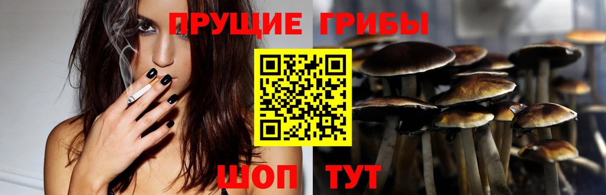 Cocaine  Вход с VPN  Меф МЯУ МЯУ кристаллы  Каннабис  МЕФ  Санкт-Петербург  Гашиш 